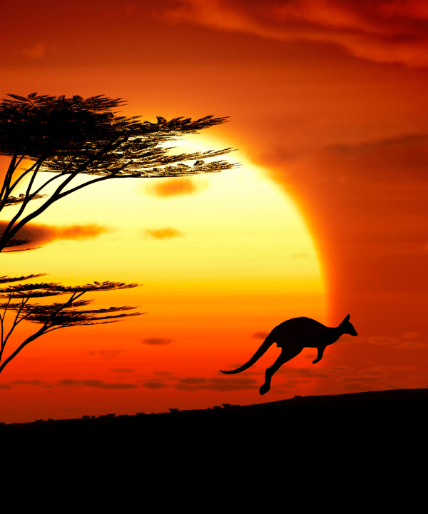 Lets Join Together for Australian Bush Fire Relief