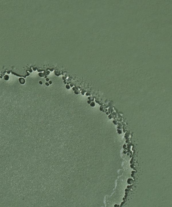 No.2 Citrus Rhapsody Toner Mist - Featured in POPSUGAR