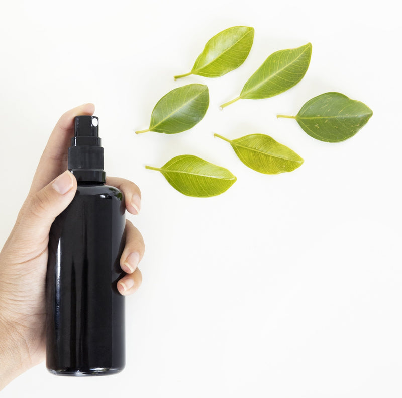 The Edible Beauty Sustainability Ethos