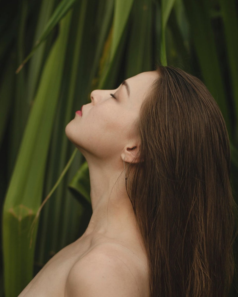 Why We Love Wildcrafted Botanicals