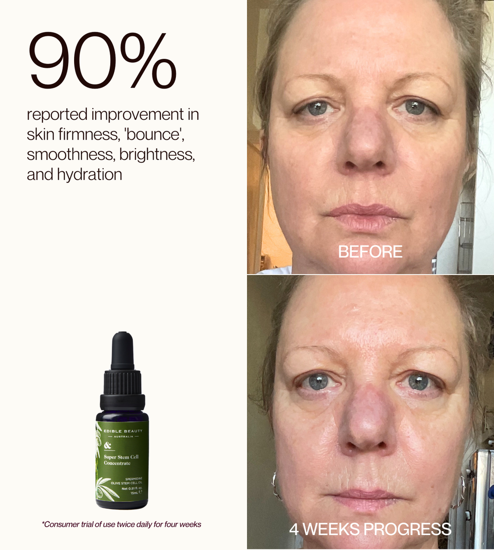 Super Olive Stem Cell Concentrate