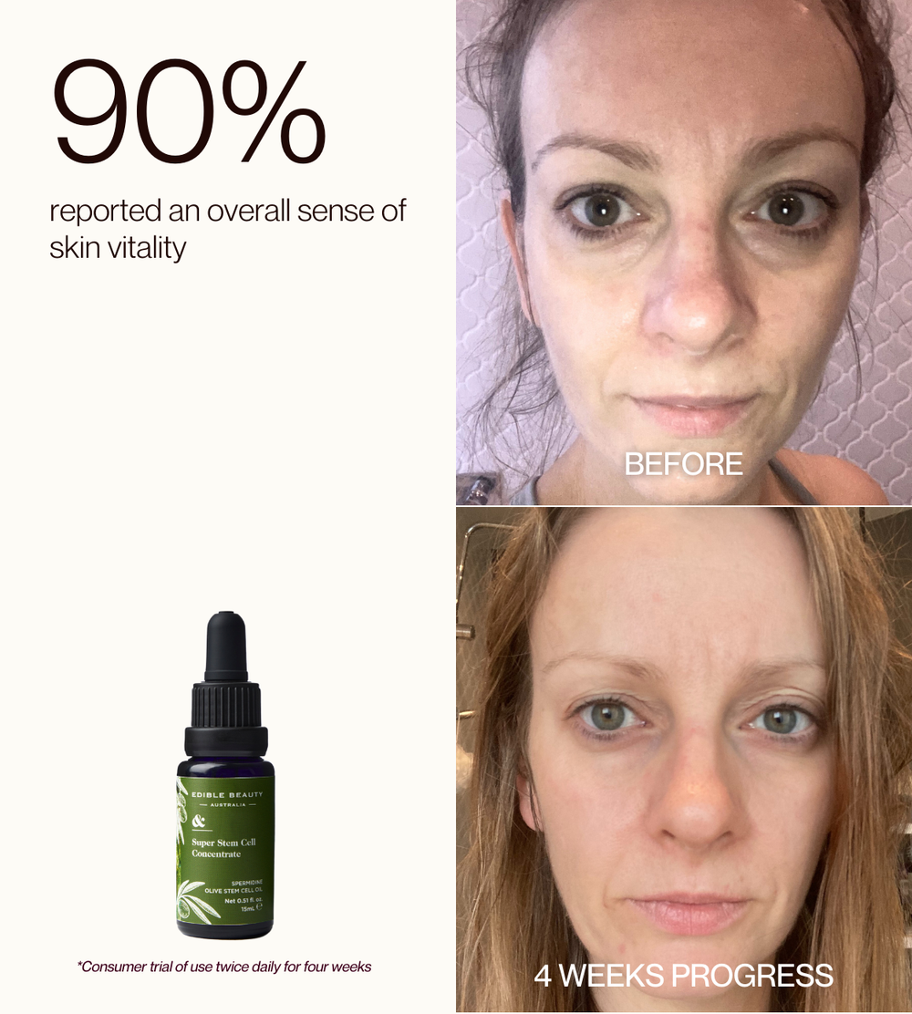 Super Olive Stem Cell Concentrate