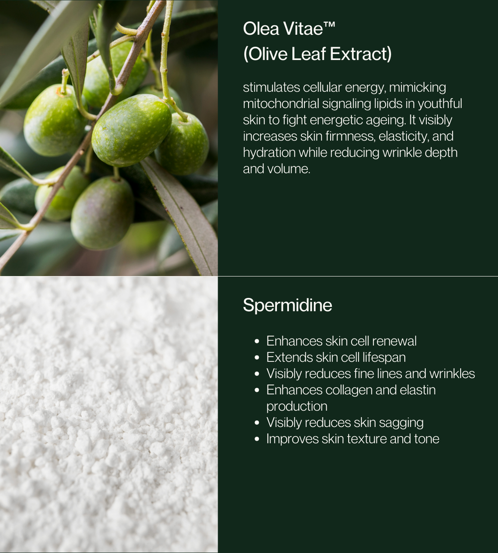 Super Olive Stem Cell Concentrate