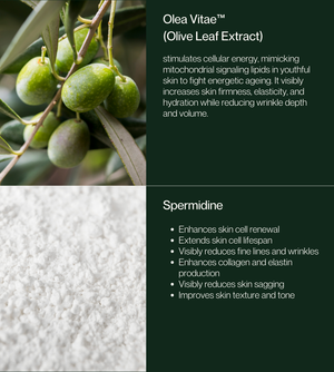 Super Olive Stem Cell Concentrate
