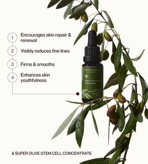 Super Olive Stem Cell Concentrate