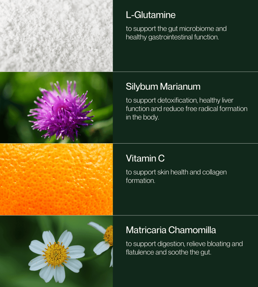 Inner Essentials – Skin + Gut Renew Powder