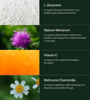 Inner Essentials – Skin + Gut Renew Powder