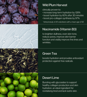 No.2 Citrus Rhapsody Toner Mist - 15mL Sampler