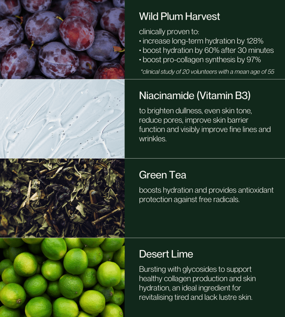 No.2 Citrus Rhapsody Toner Mist Double Deal