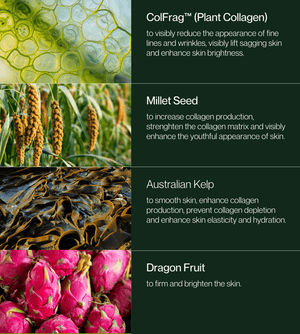 Plant Collagen Plumping Booster Serum