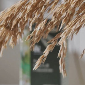 Ageless Radiance Duo