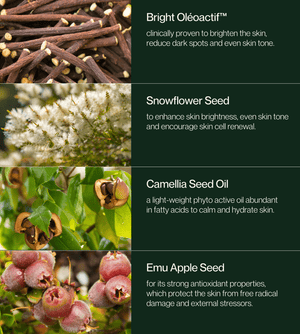 & Snowflower Illuminating Face Oil