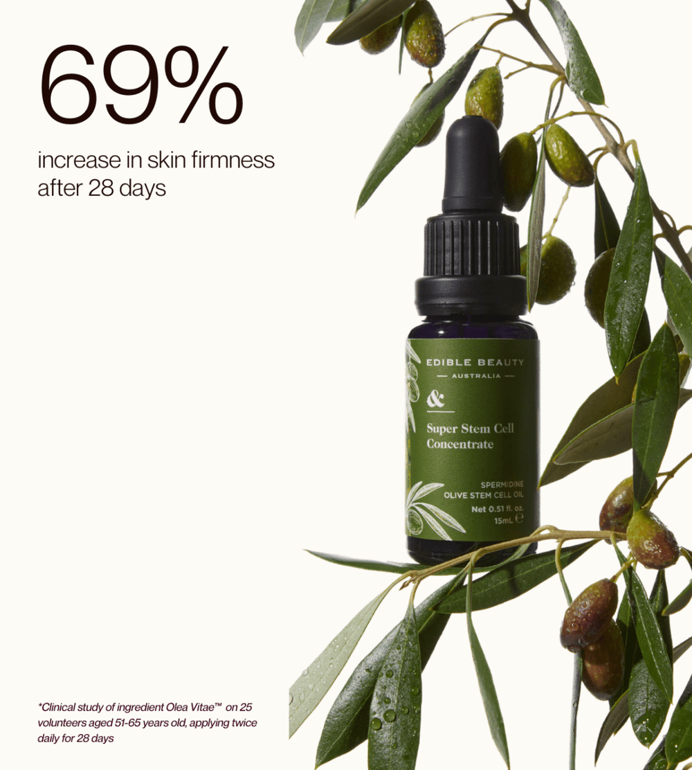 Super Olive Stem Cell Concentrate